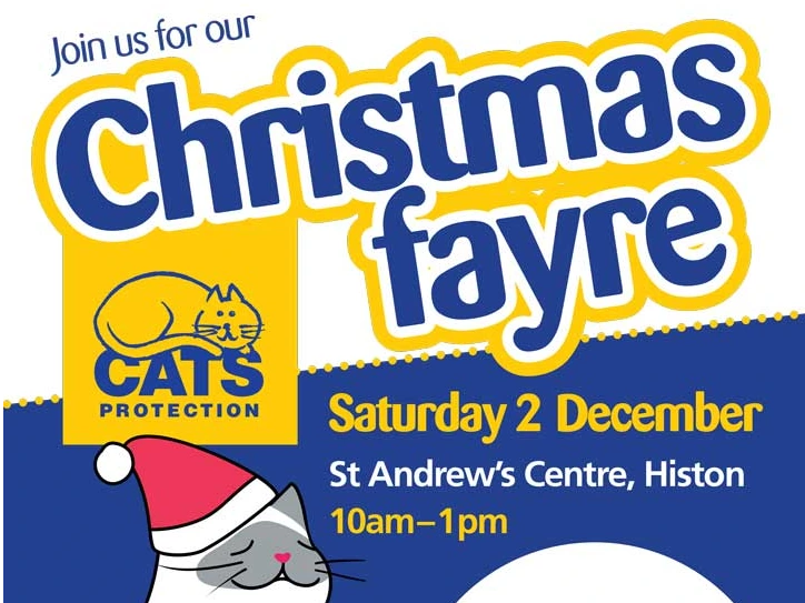 Cambridge Cats Protection Christmas Fayre