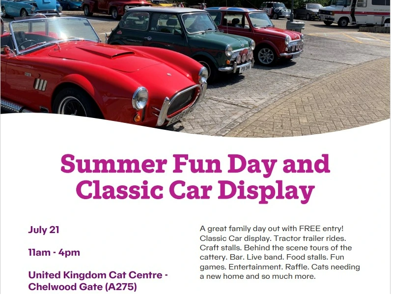 Summer Fun Day