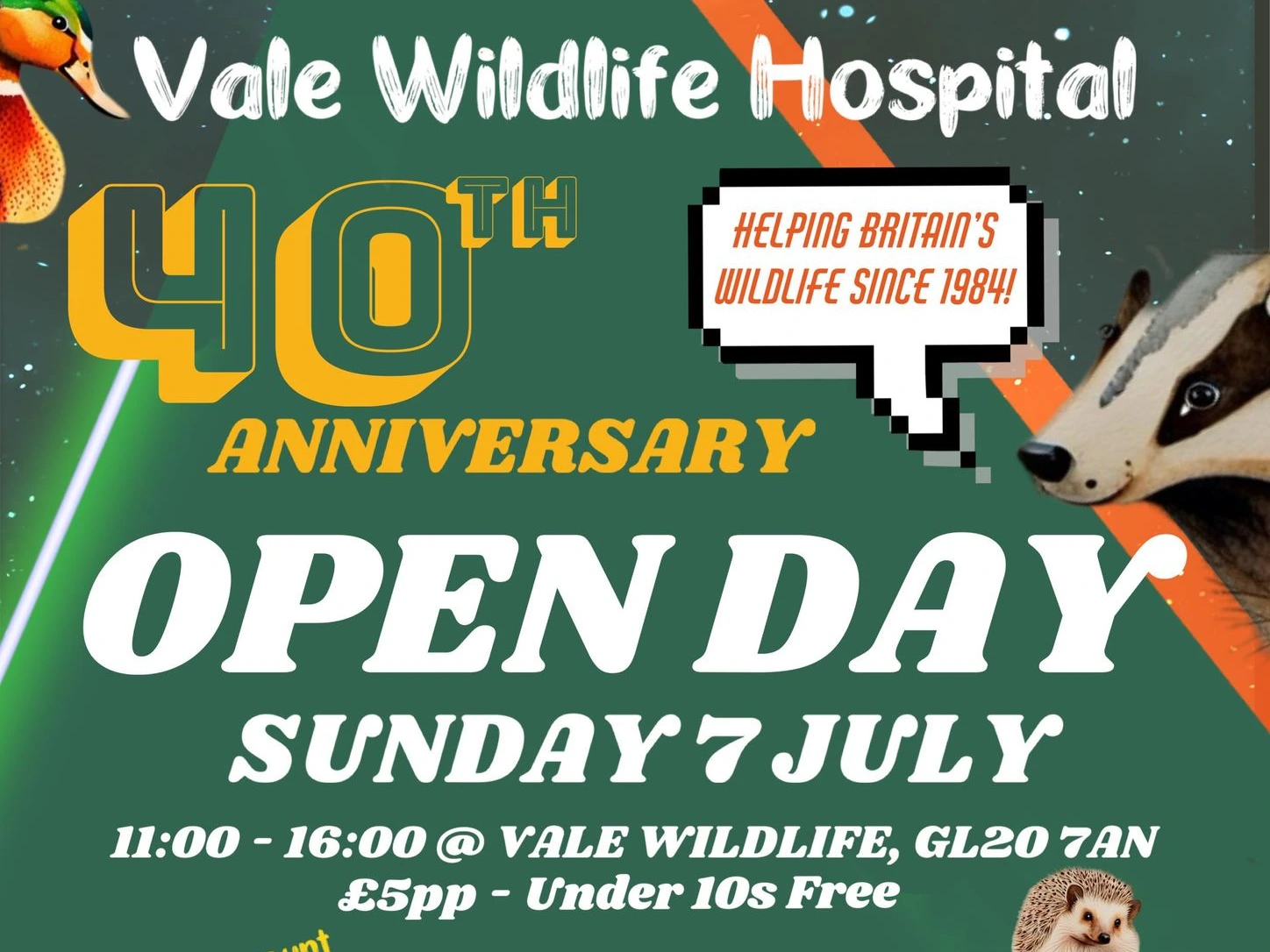 Vale Wildlife Hospital Open Day