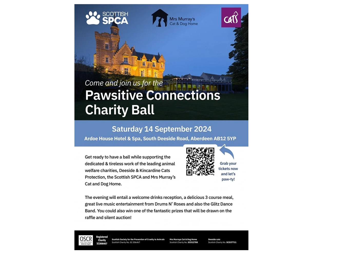 Pawsitive-connections Ball