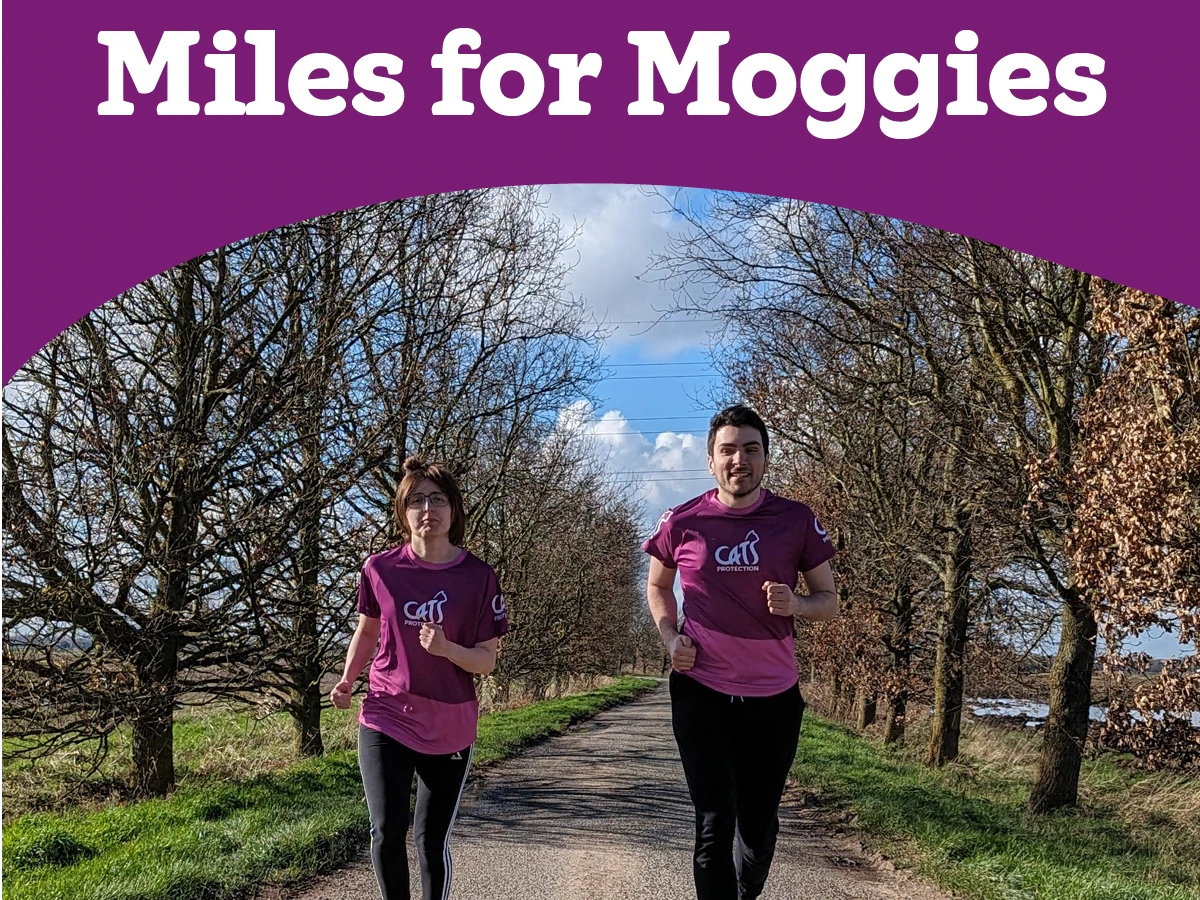 Miles for Moggies