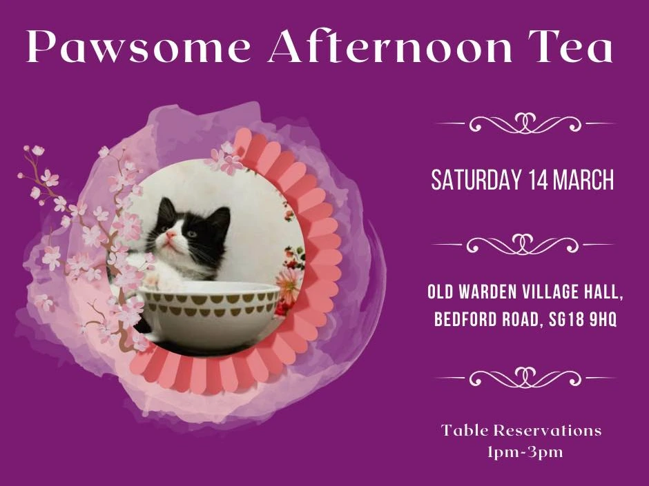 Pawsome Afternoon Tea