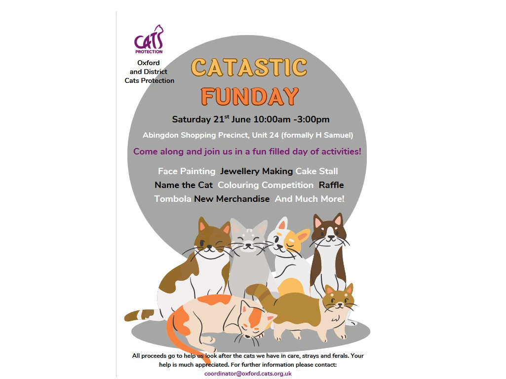 Cat-tastic Funday