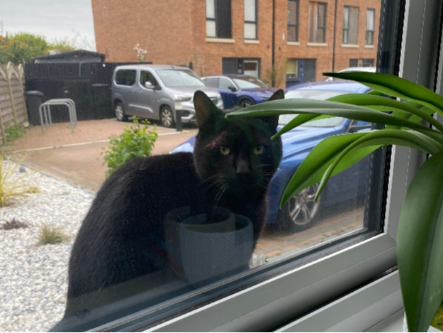 Found 2025.024 - Cartridge Close, off Heritage Way / nr Searle Dr, Priddy's Hard