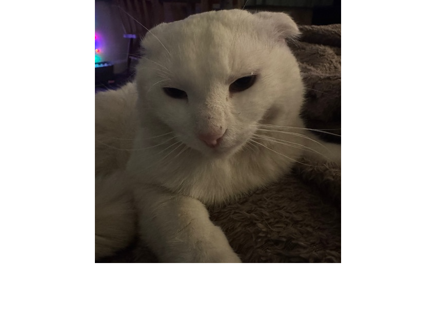 25F038