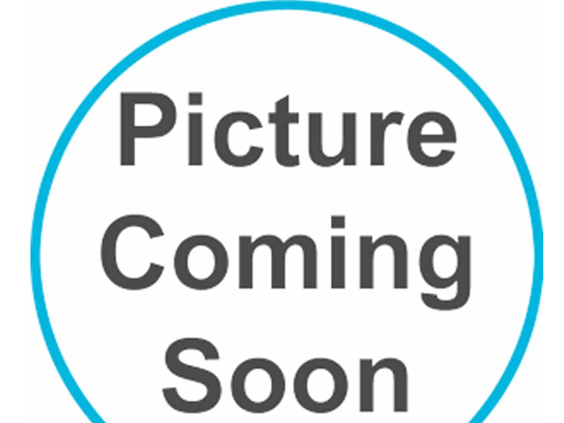 744274 - Black female found in Sir Lewis Street, Kings Lynn