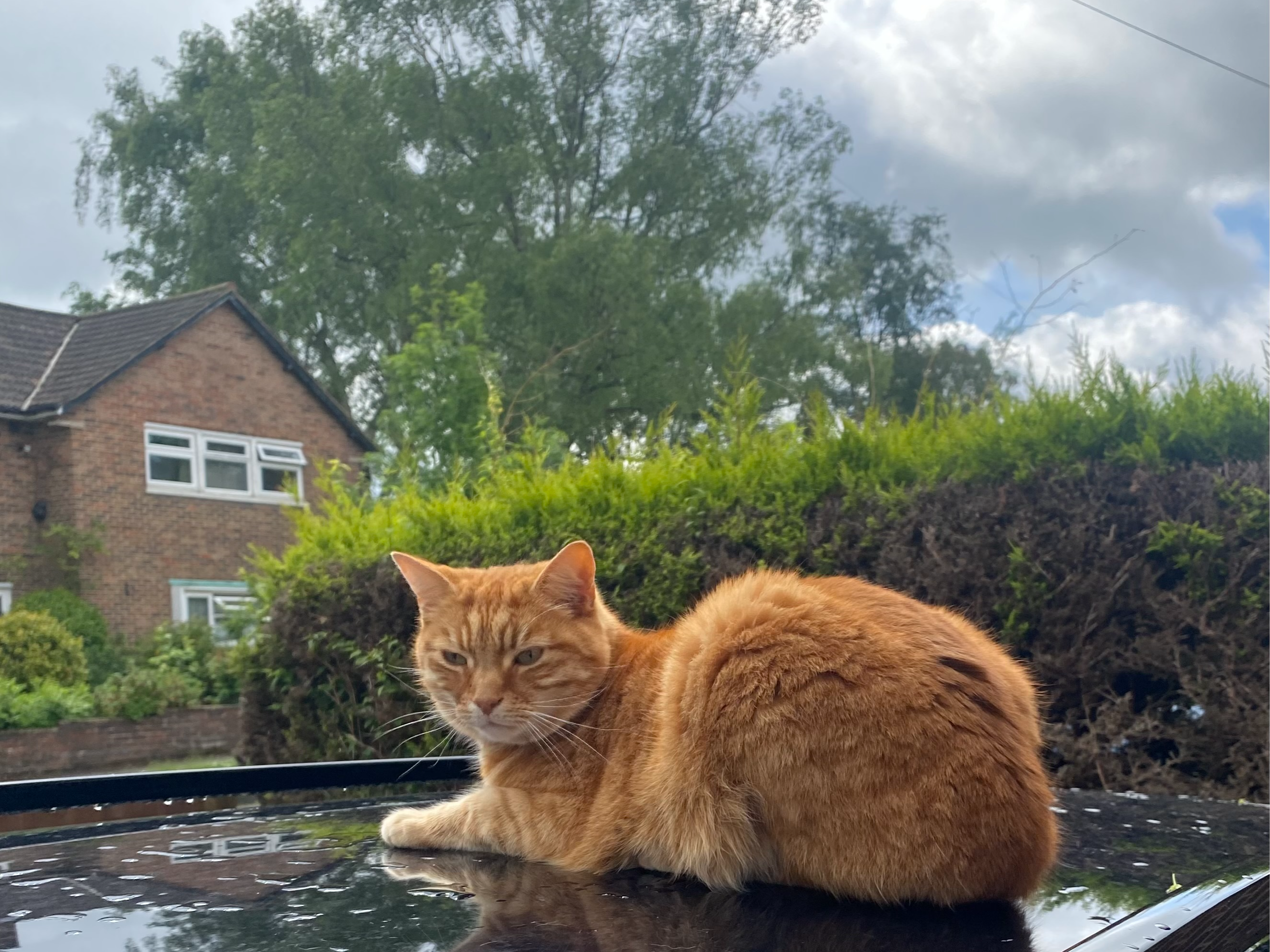 Oliver - Maybury Area - L573S