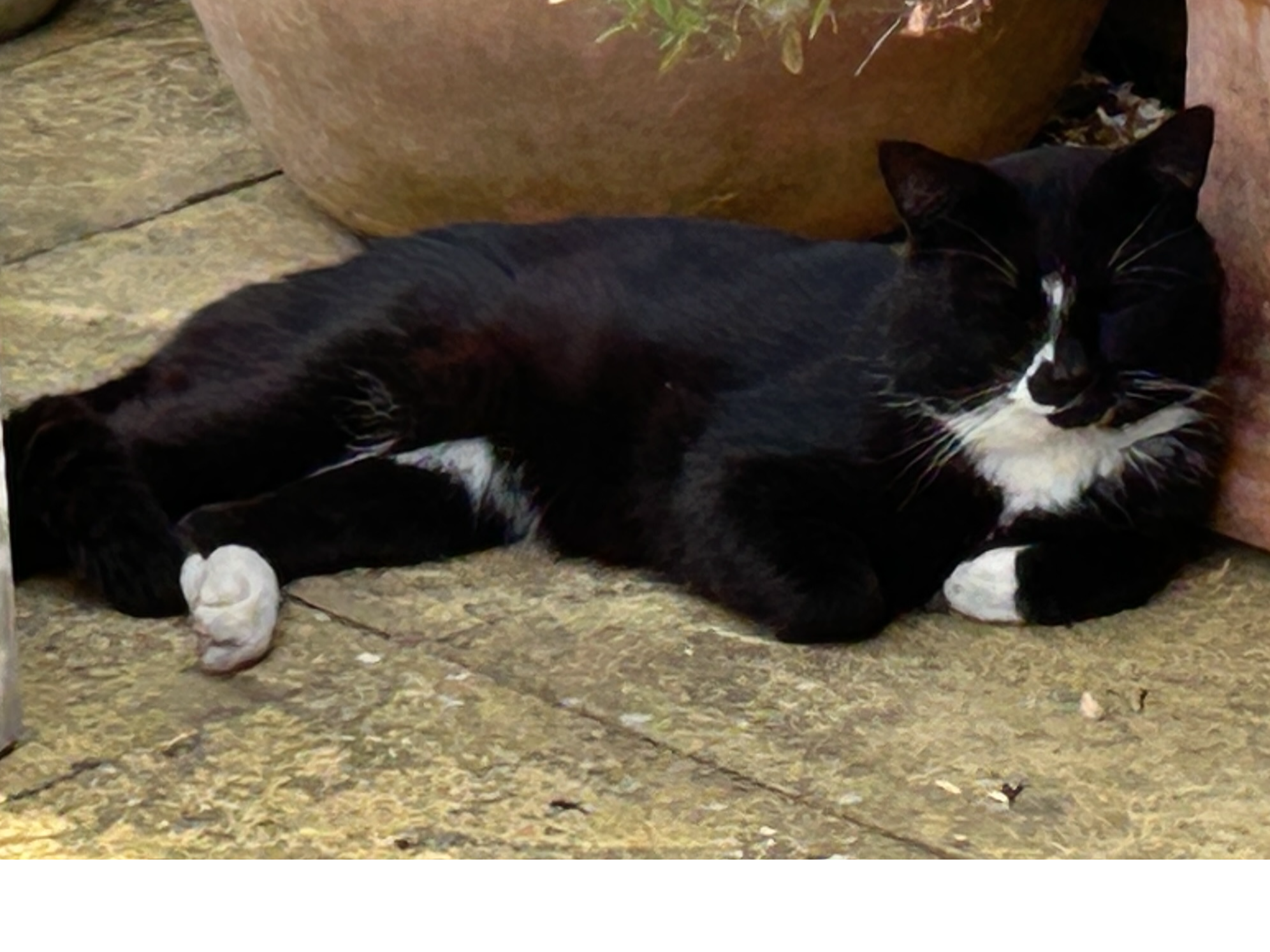 Black/white, Northstowe