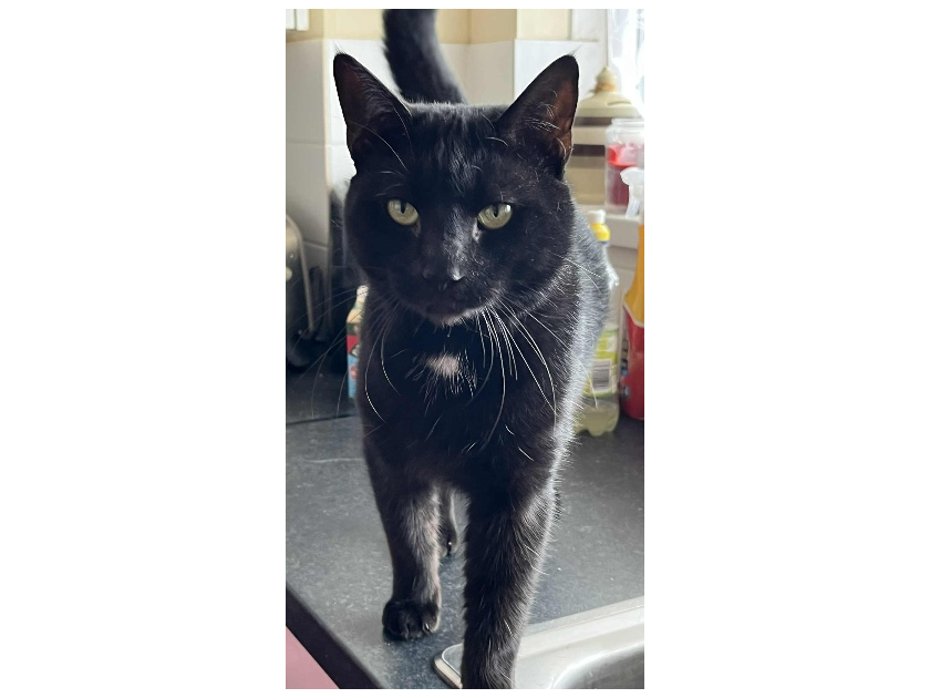 Found 2025.069 - Chester Court flats, Jamaica Place, Gosport