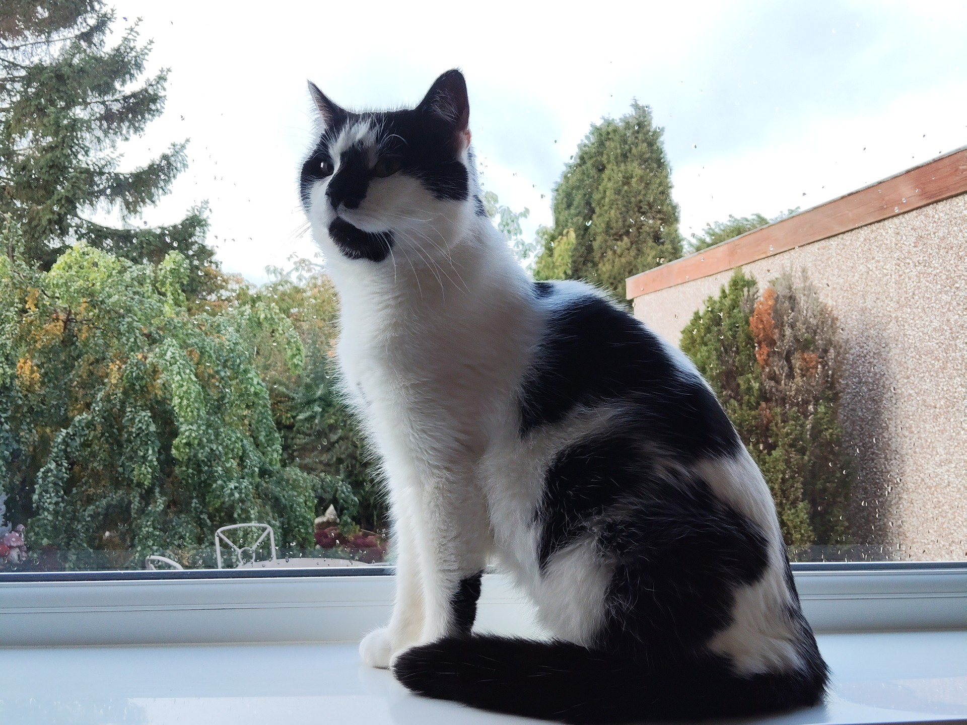 F363 - ALFRETON - Black & White