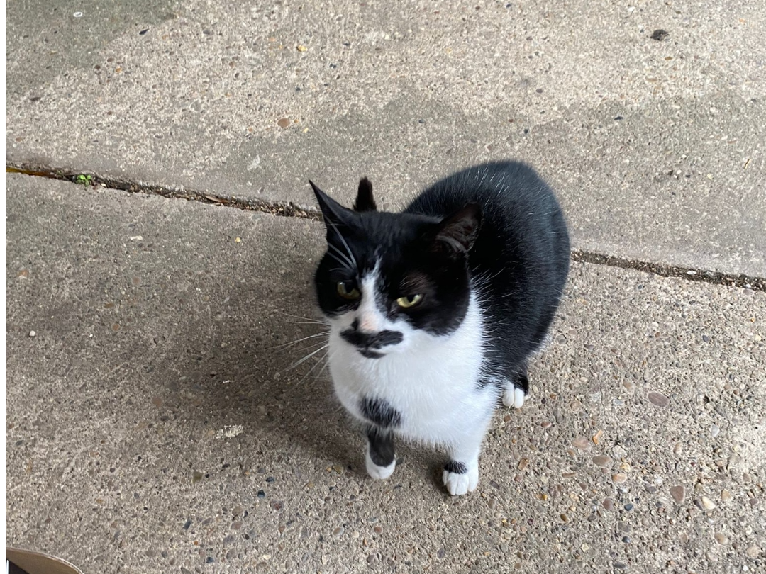 BLACK & WHITE FEMALE