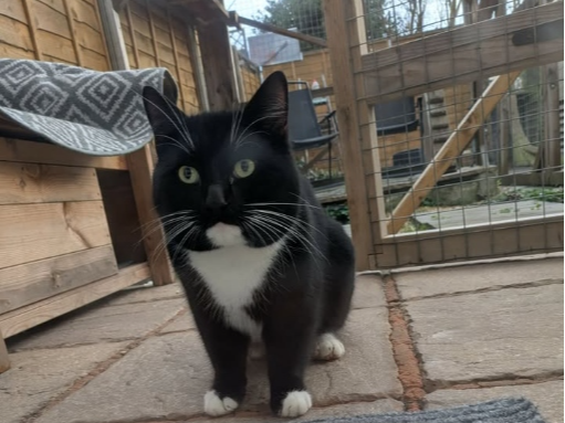 Found 2026.002 - Arundel Road, off Southcroft Road, Gosport