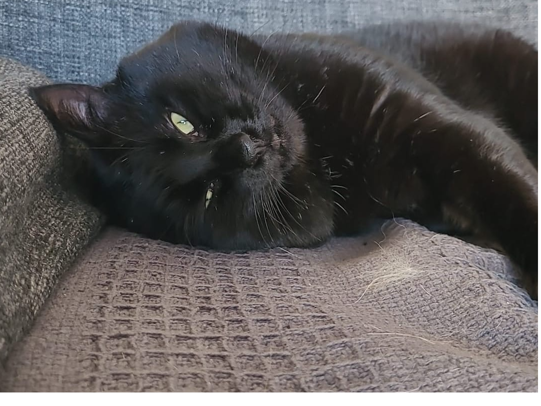 Black male - Dogsthorpe