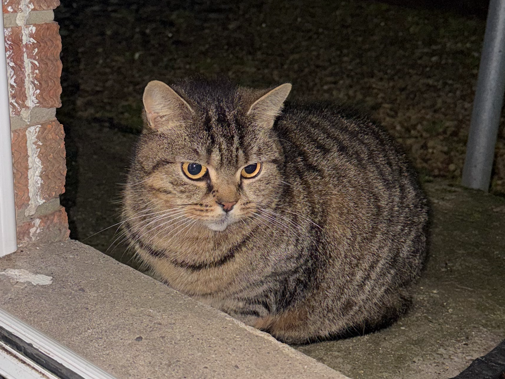 778491 - Found in Sir Lewis Street Kings Lynn