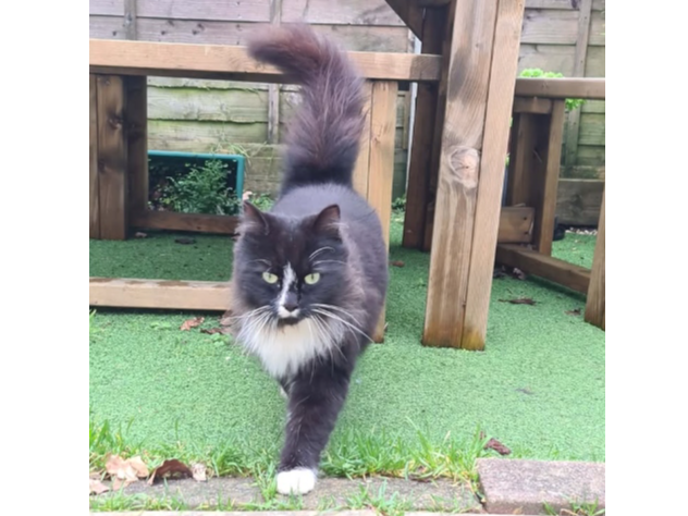 Found 2026.012 - Tukes Avenue, opposite Woodcot School, Bridgemary