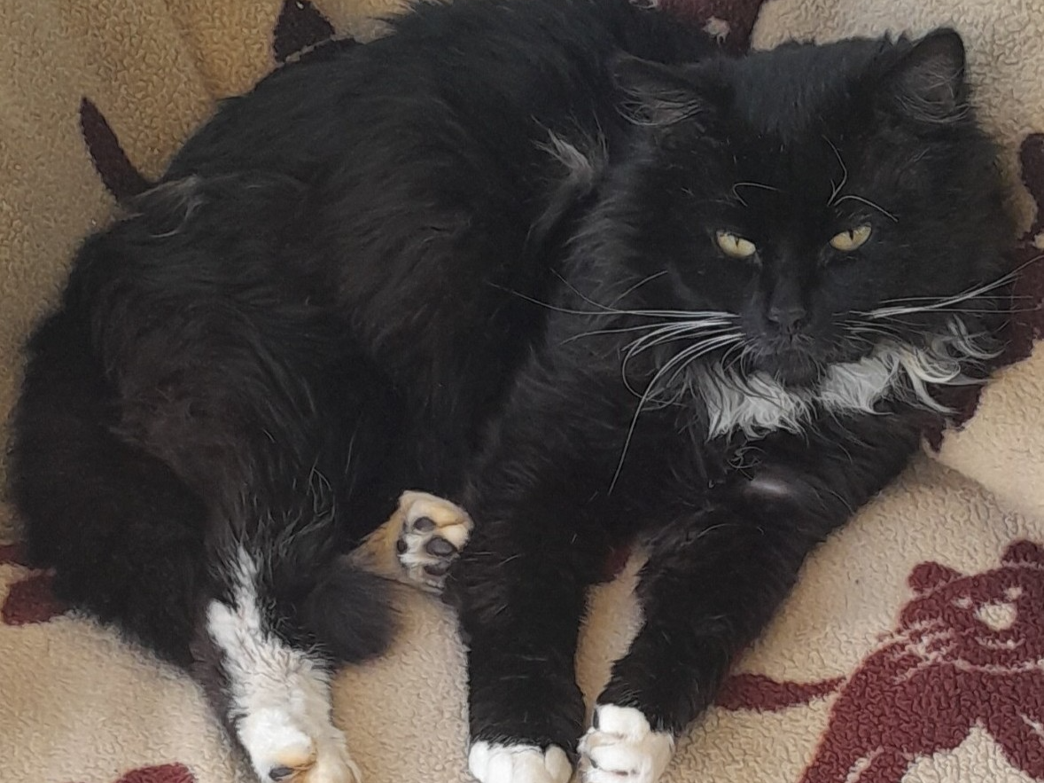 F399 - black & white - ETWALL