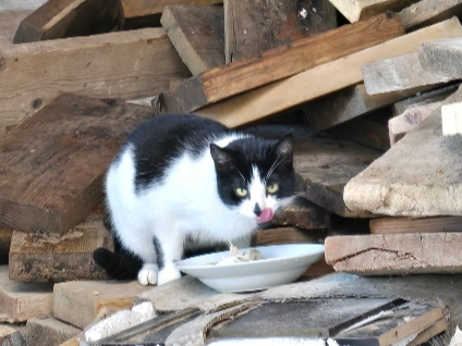 Found 2026.022 - Sanderson Centre, Lees Lane, Gosport