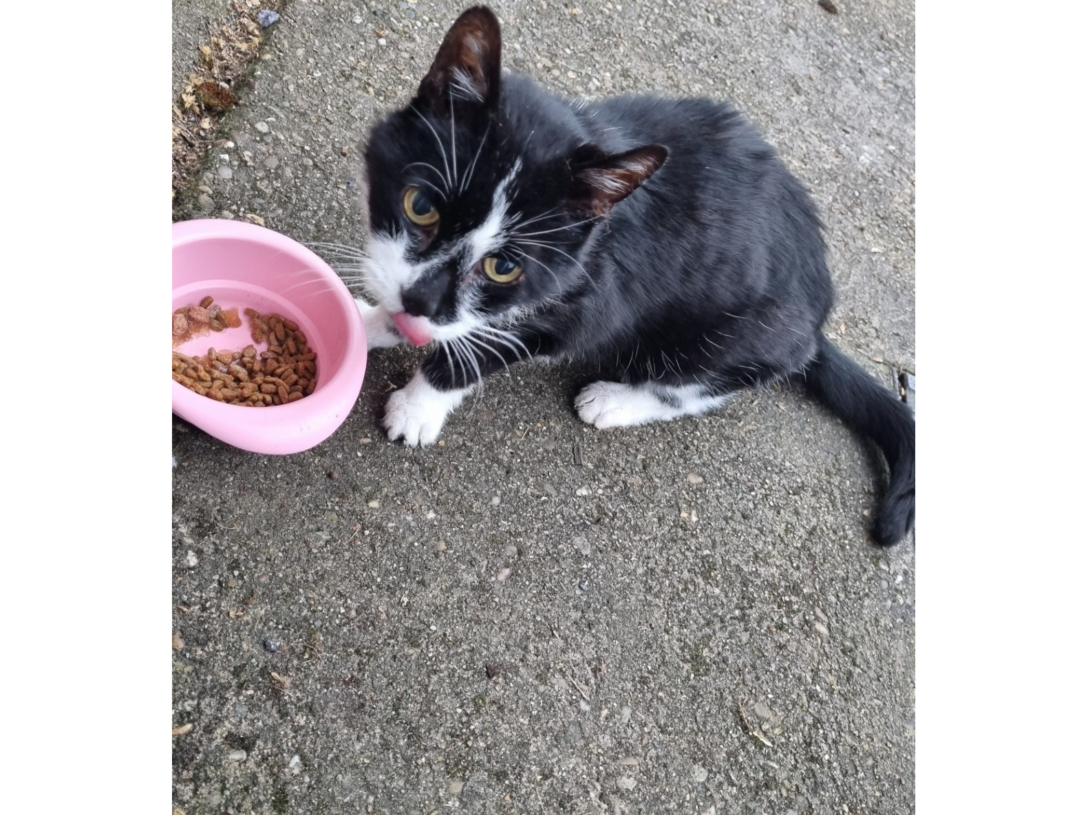 F402 - black & white - DERBY