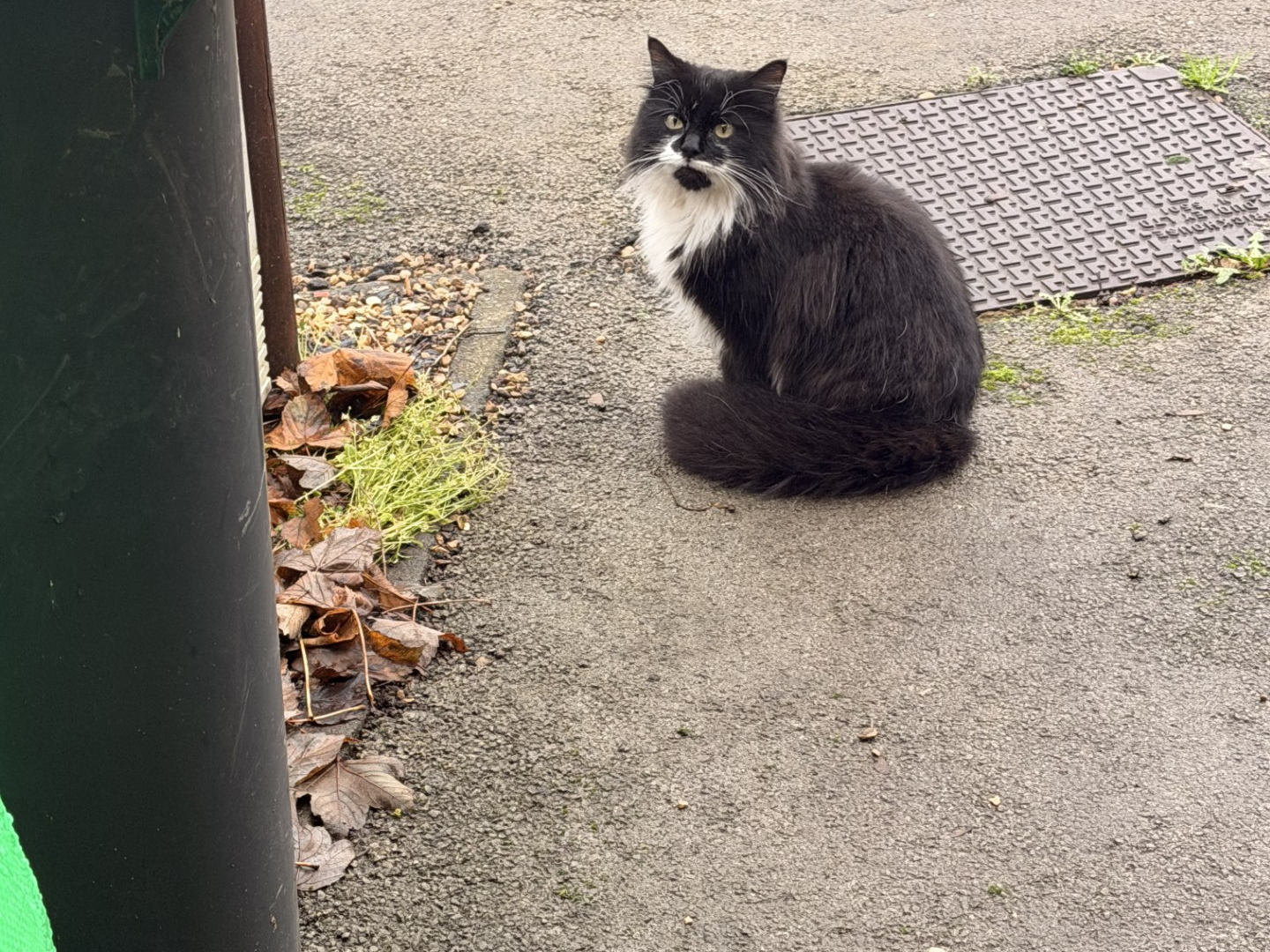 F405 - black & white - LONG EATON