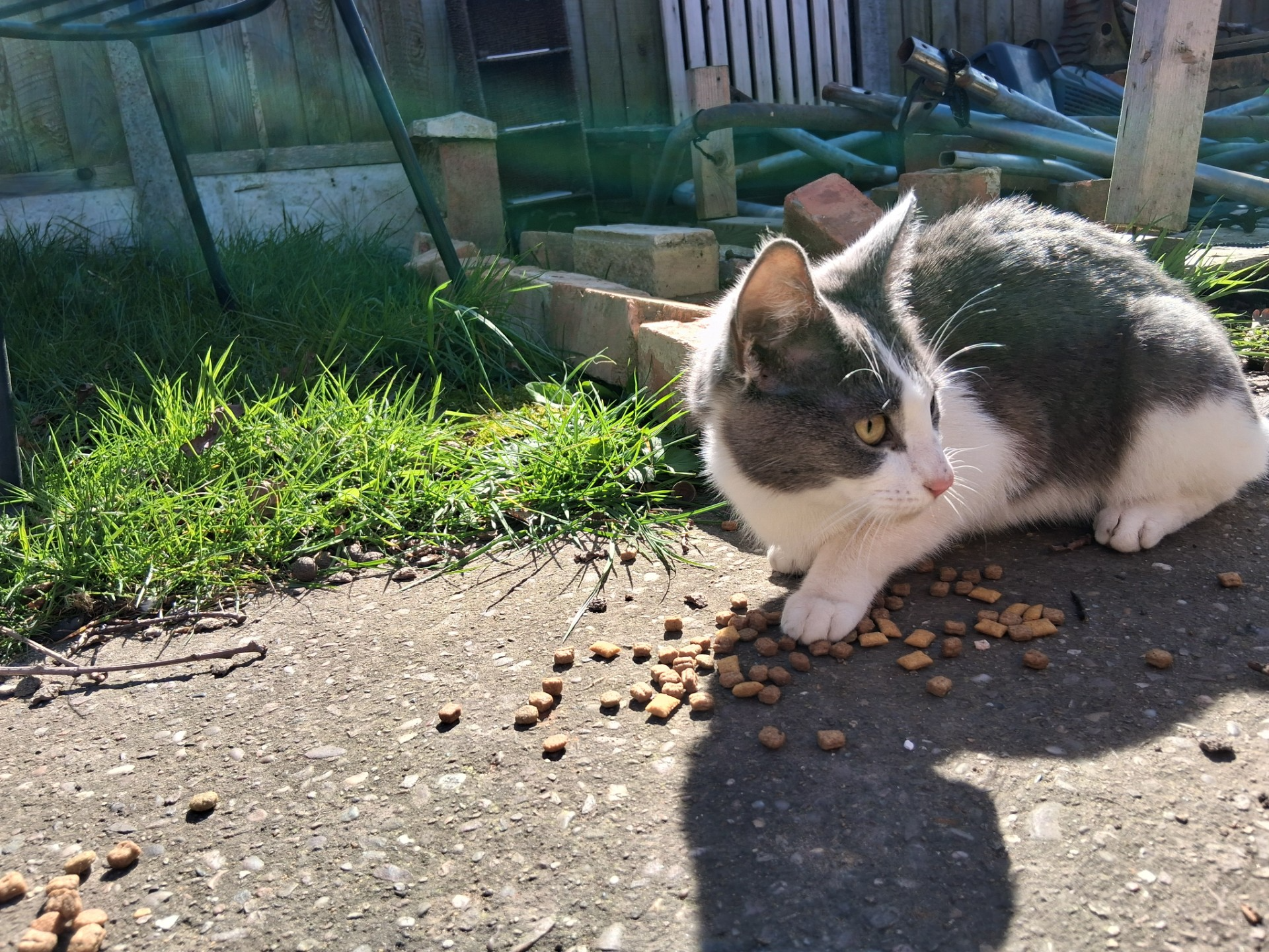 F409 - grey & white - SINFIN