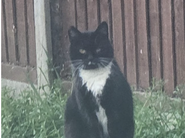 Black & White - Welland Road, Dogsthorpe