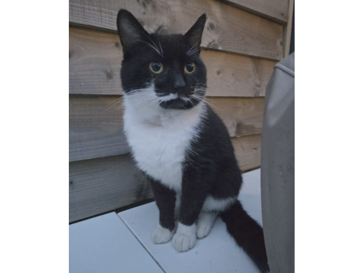 Found 2026.047 - Stoners Close (backing onto Wych Lane), Bridgemary