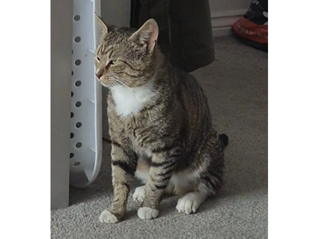 Found 2026.058 - Falmouth House, Howe Road, Gosport