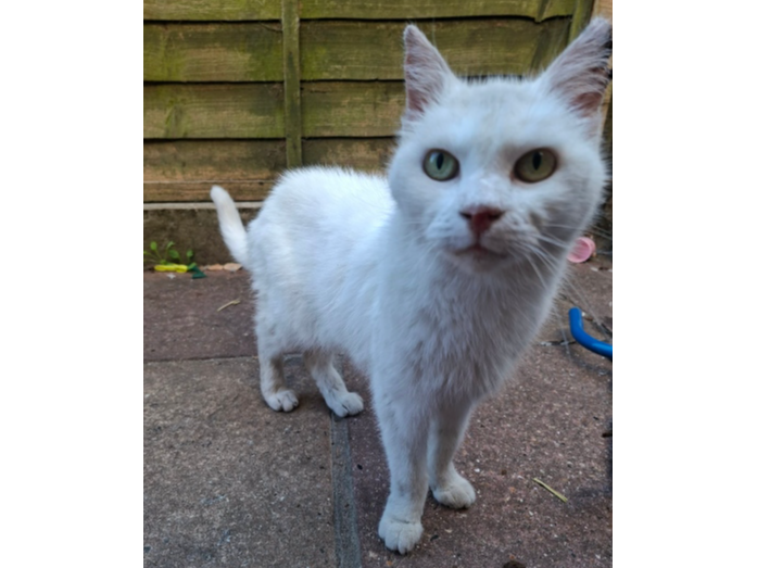 Found 2026.071 - Cobden Street, off Mill Lane, Gosport