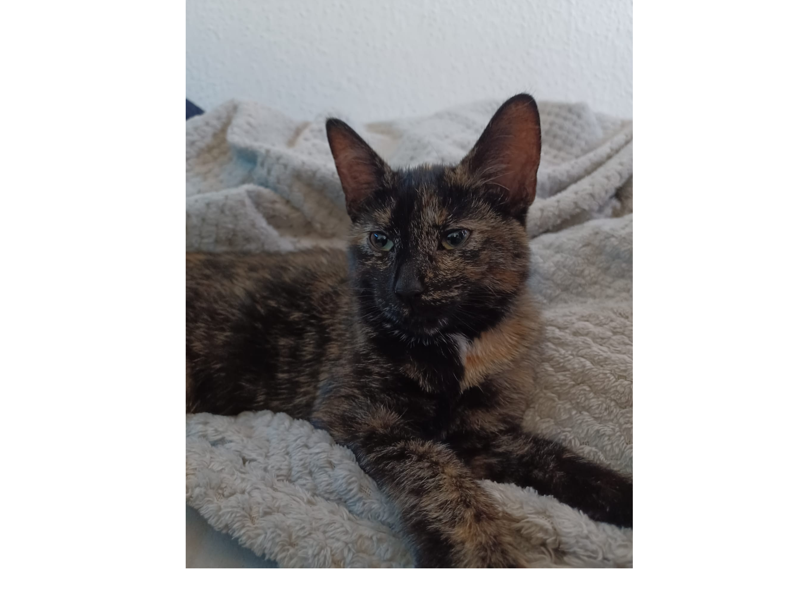 26F046