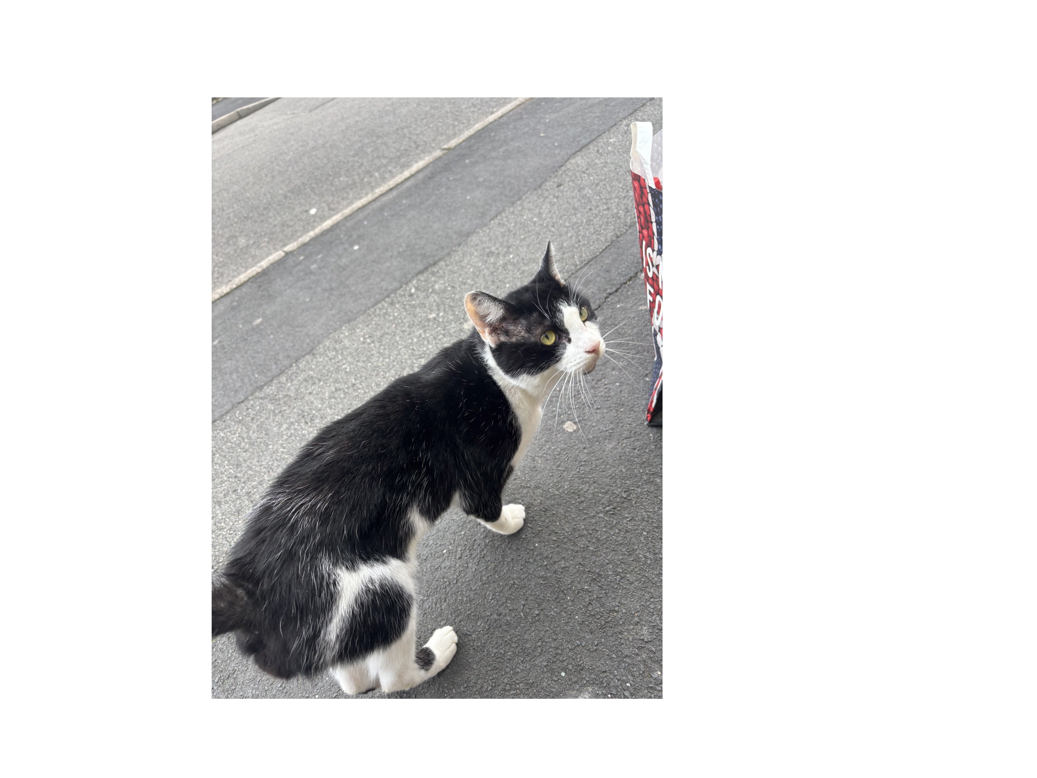 F463- black and white – DERBY