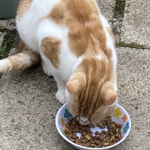 Ginger / White Male
