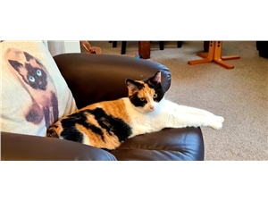 Gracie and Monty