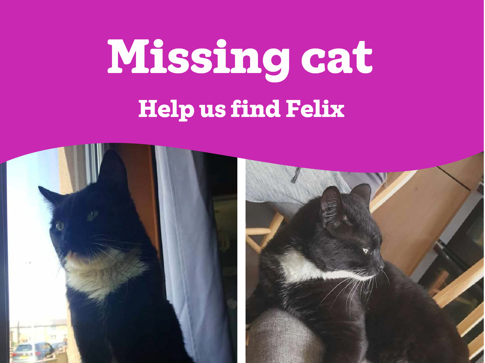 Felix
