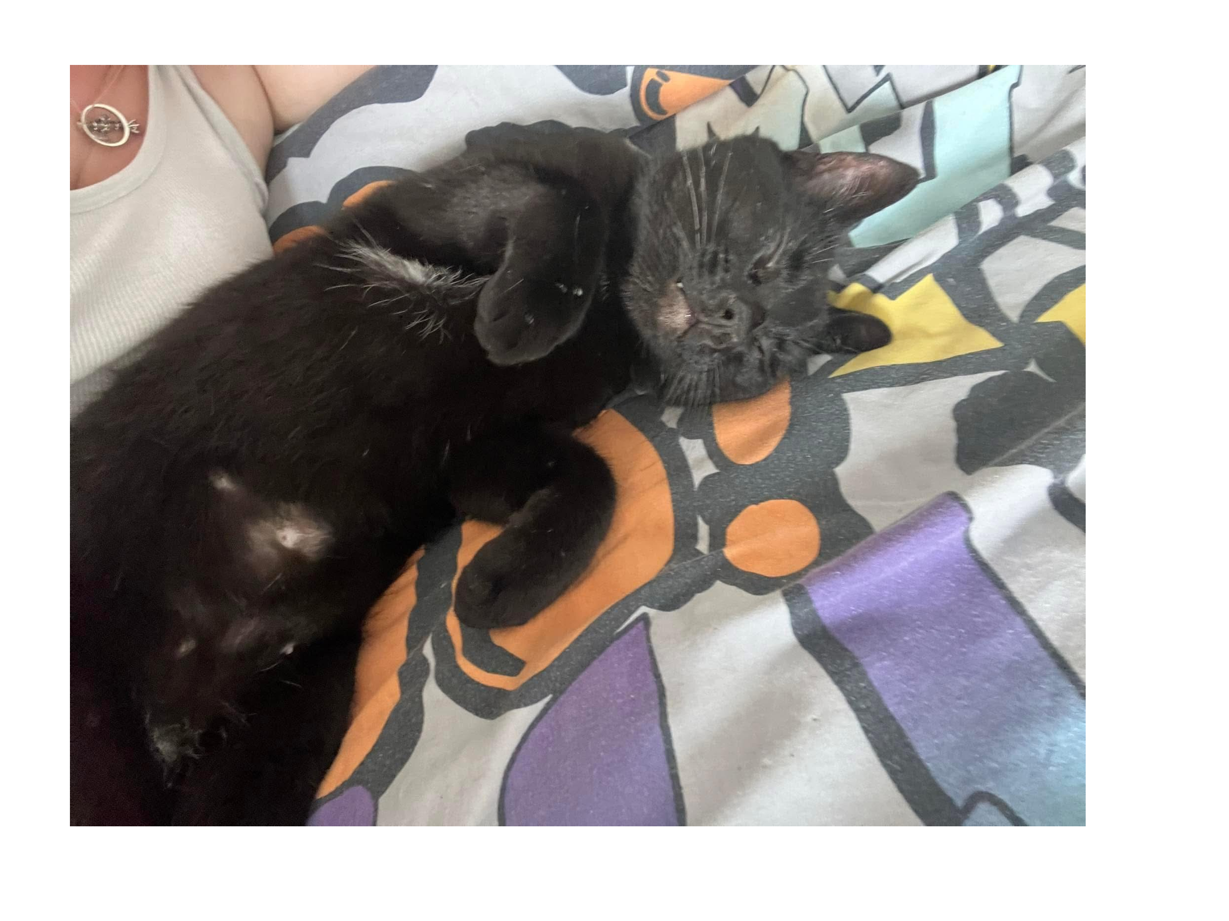 Gizmo