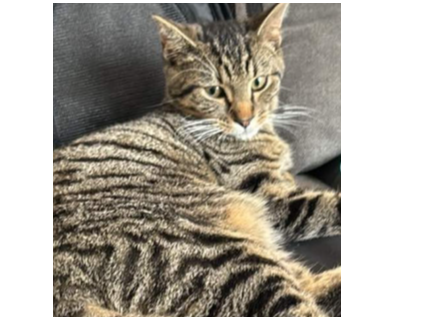 Milo