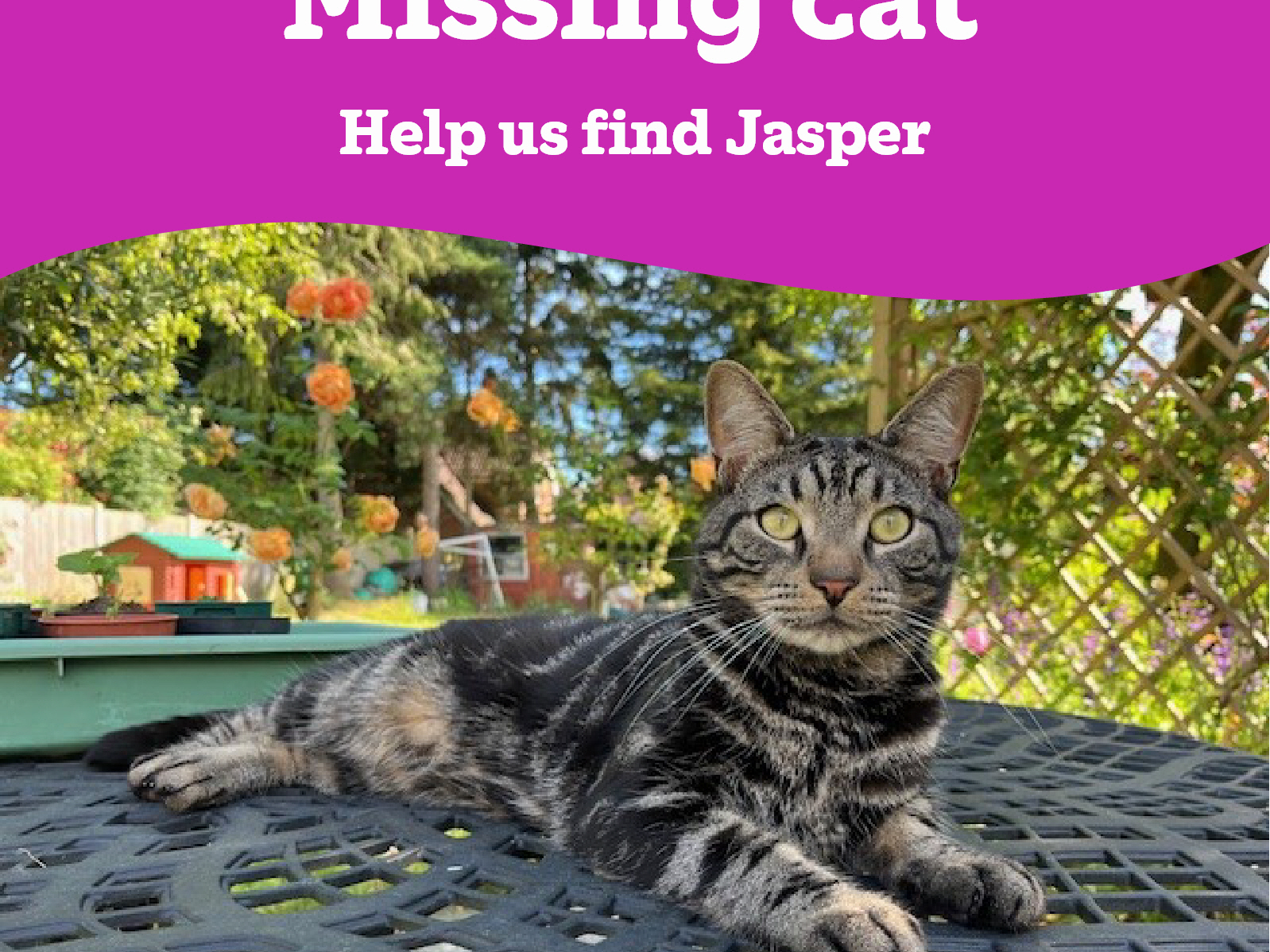 JASPER