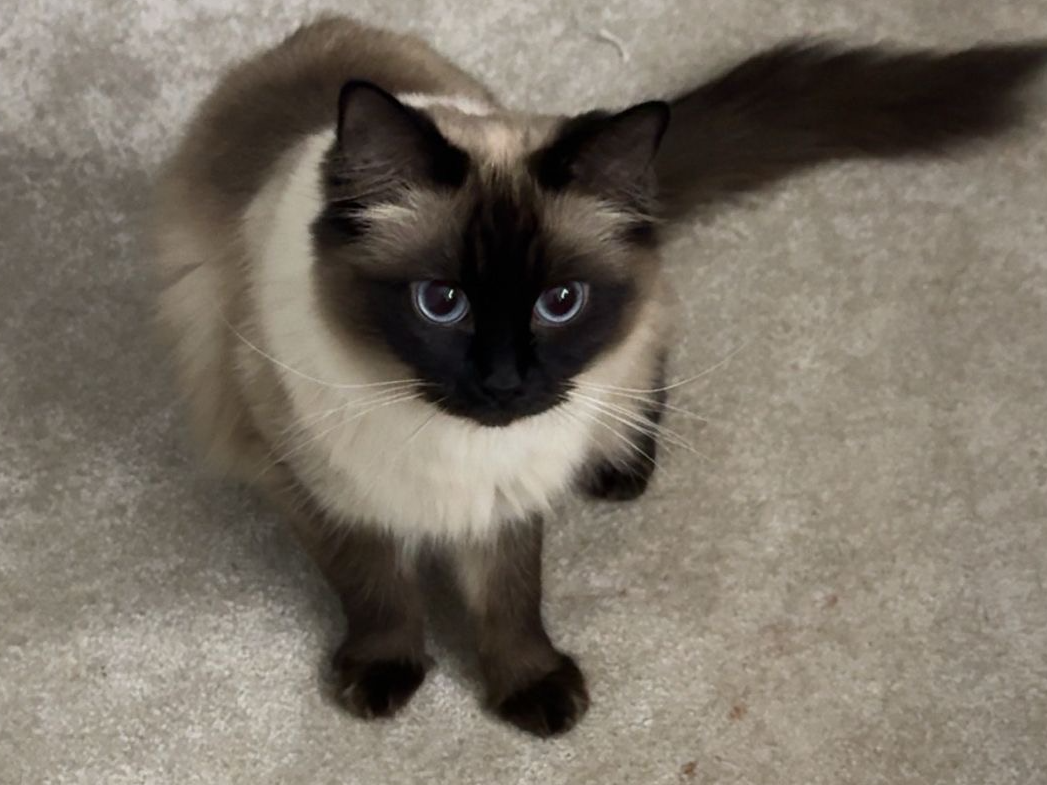 Missing in West Winch