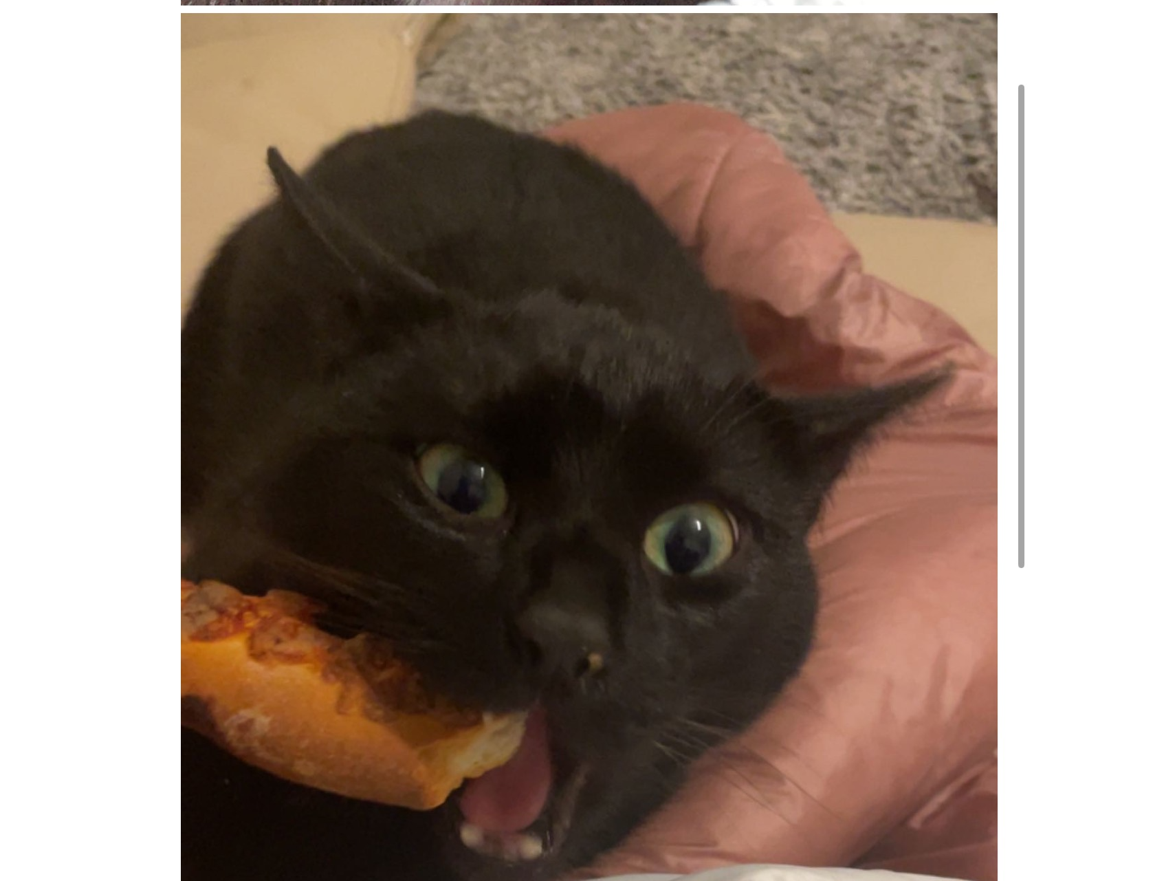 L423 - Wesley - DERBY - Black Male