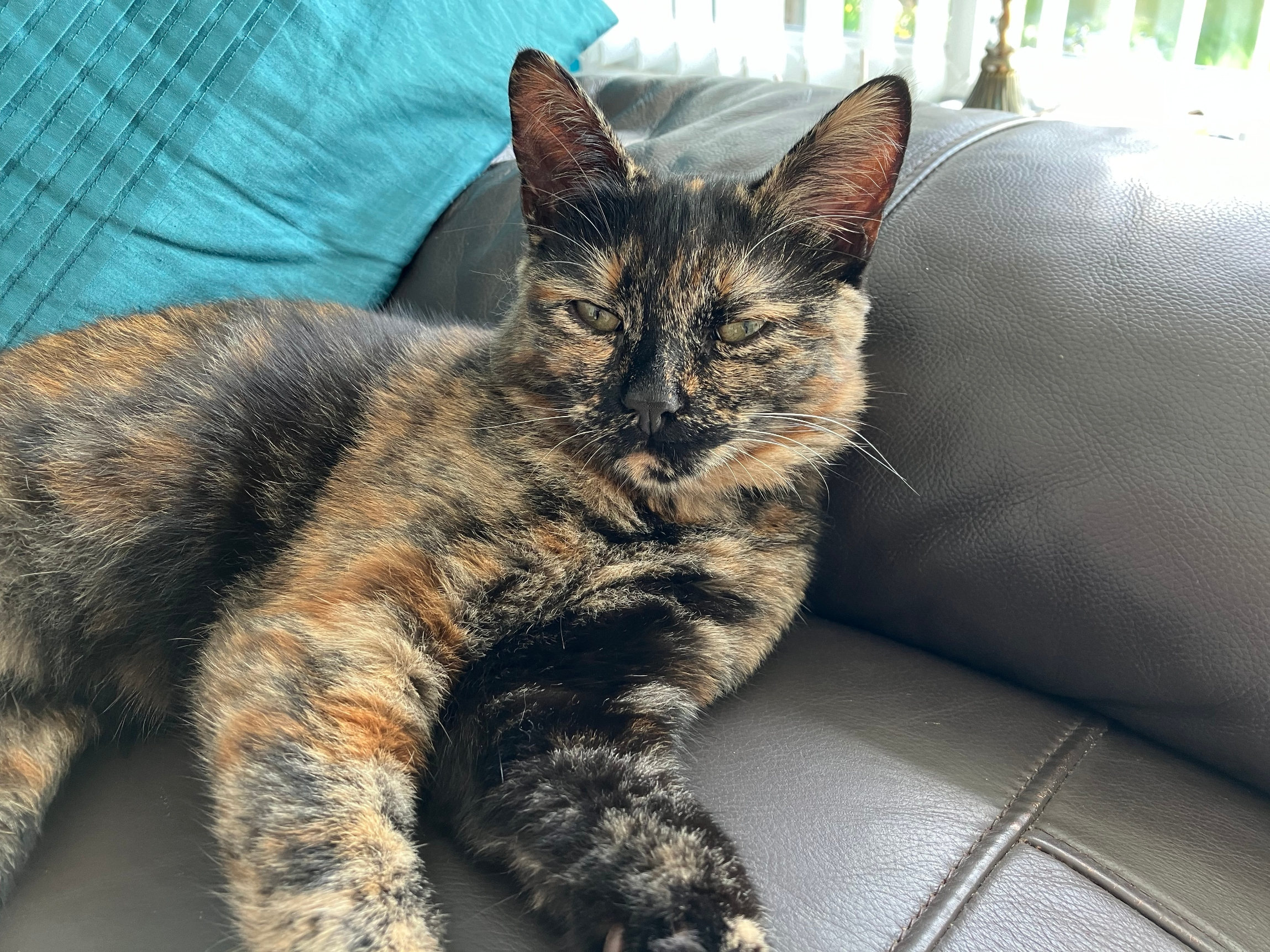 Twinkle Lost 2025.026 - Solent Way (Leveson Cl / Jellicoe Ave end), Alverstoke