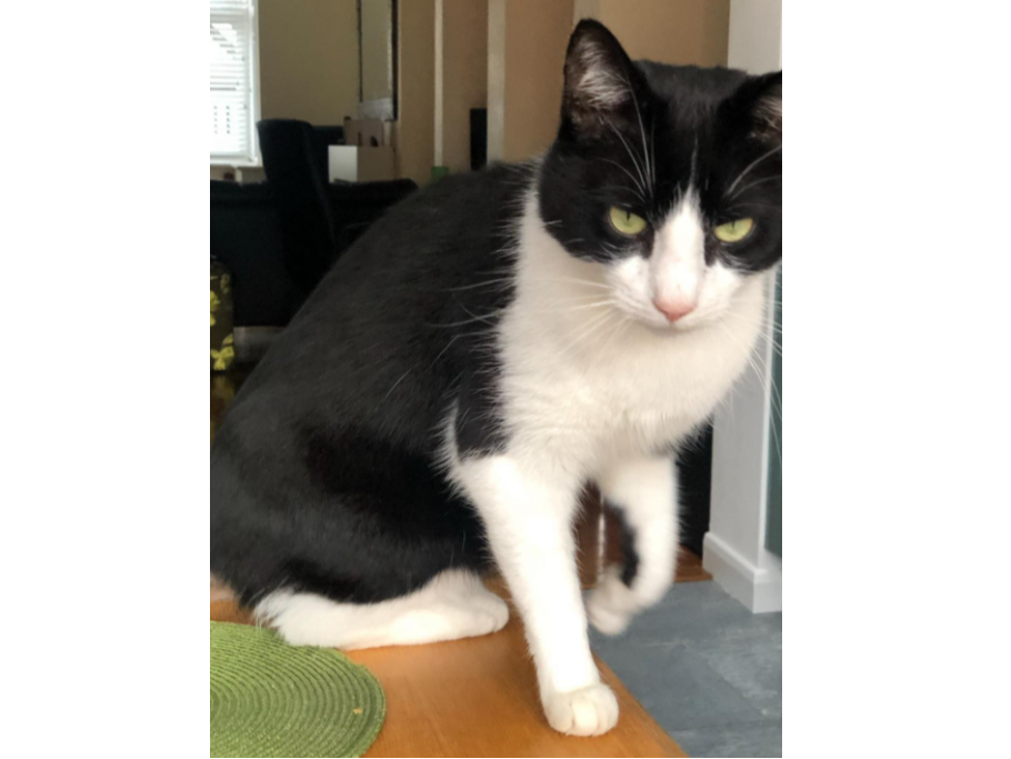 Harry, Greville Rd CB1
