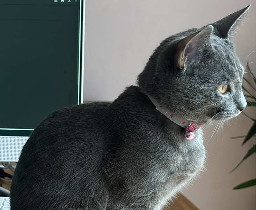Luna
