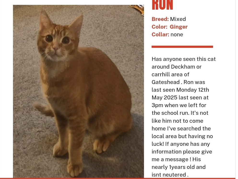 Ron