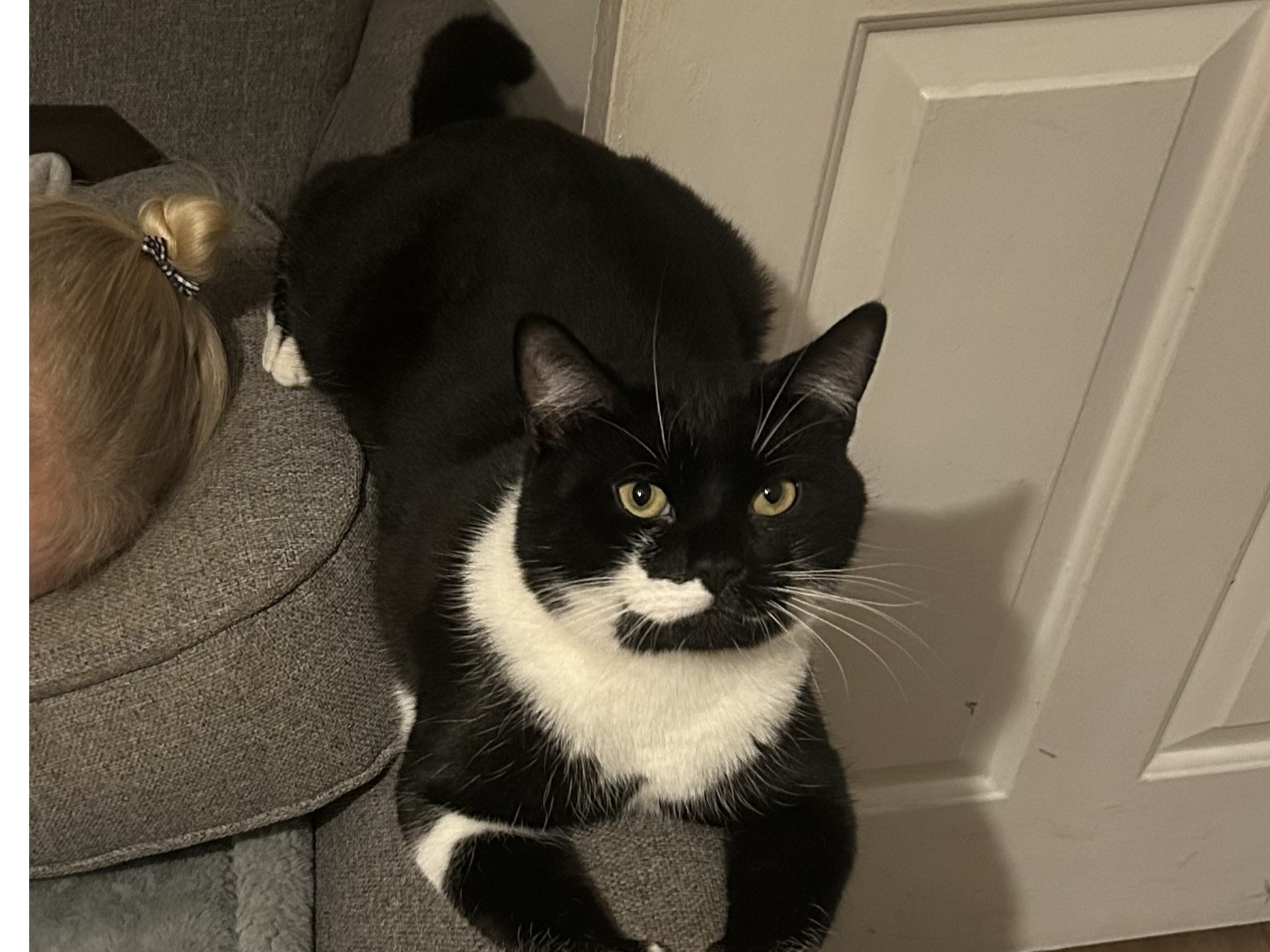 L460 - ALVASTON - Black/White Male