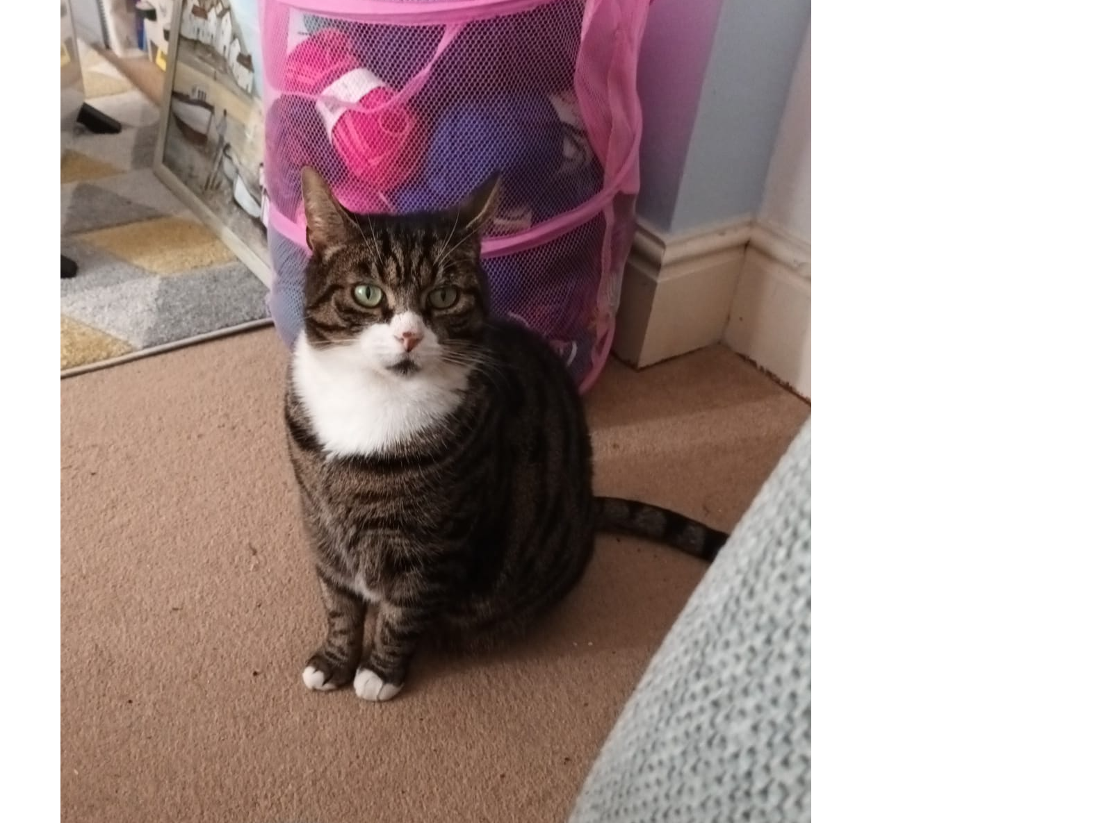 Boysie
