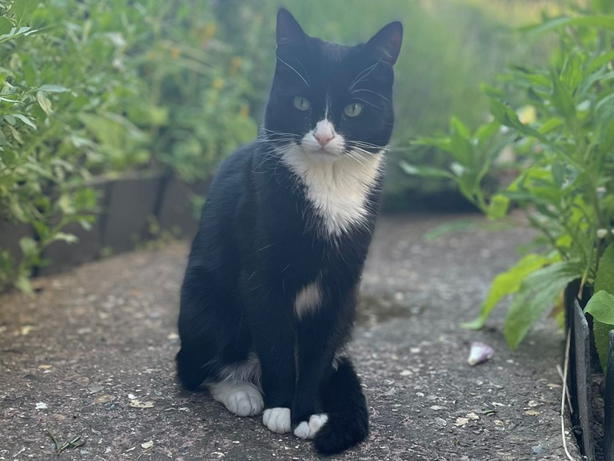 Billie, Burwell