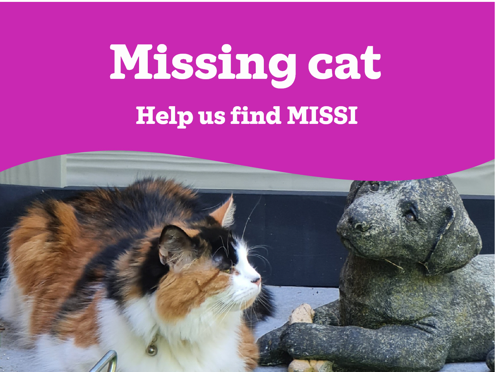 MISSI