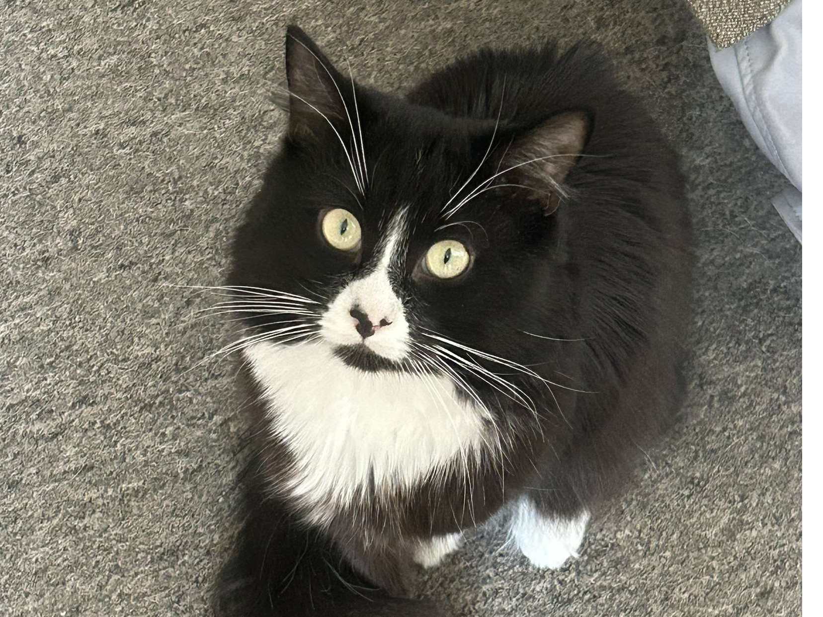 Rupert