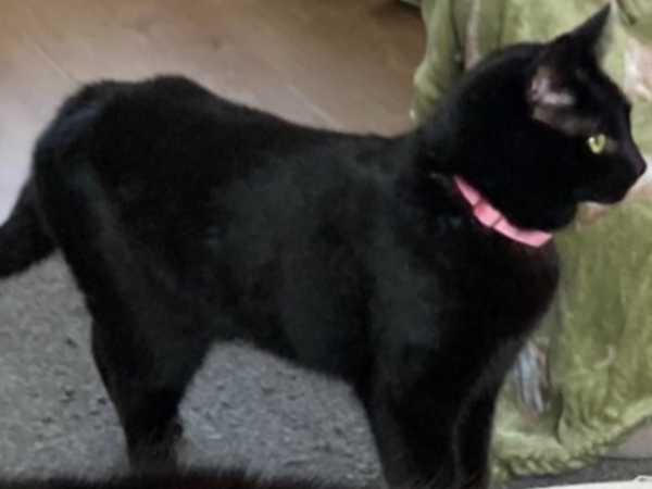 Sabrina