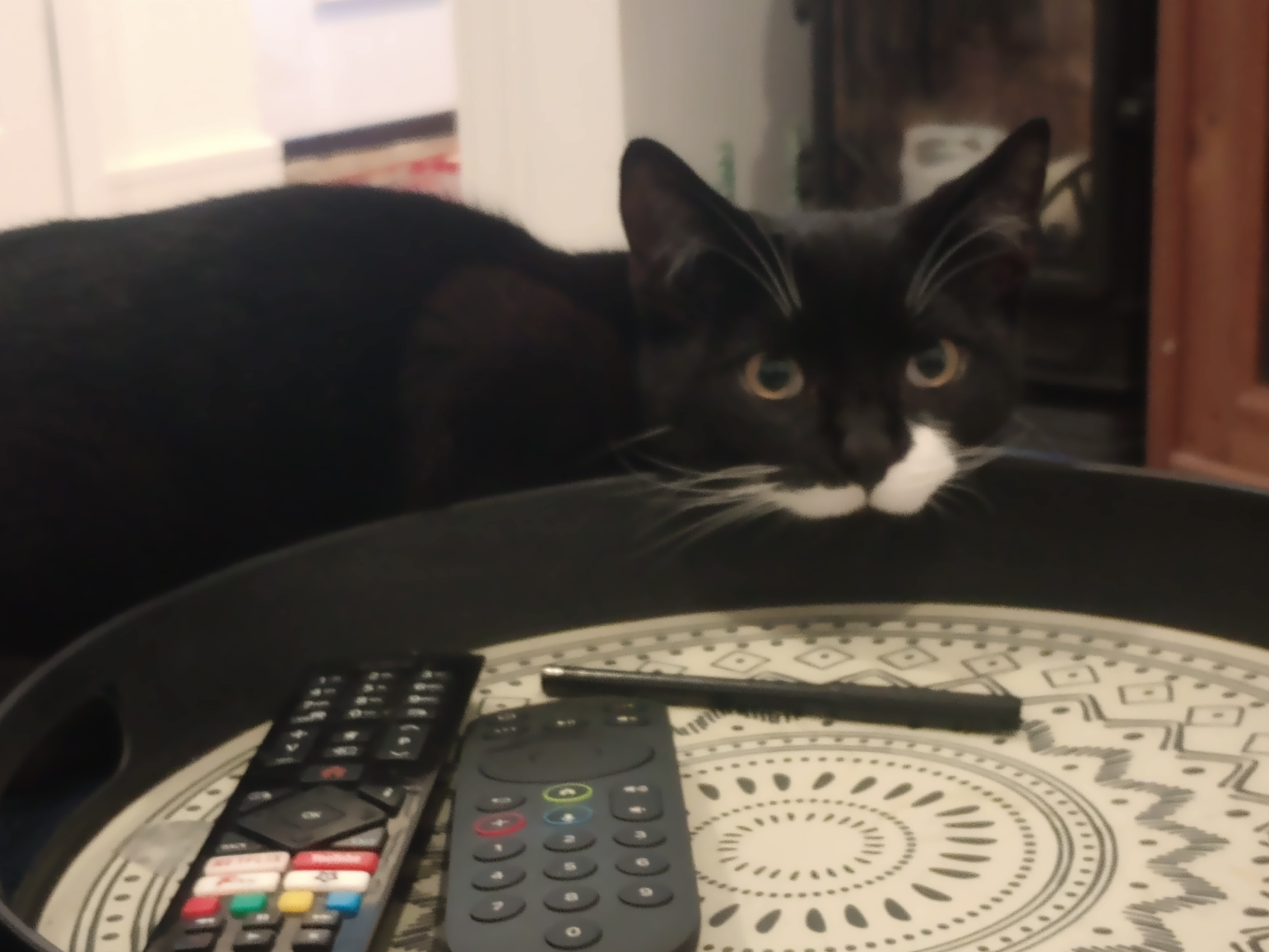 MILO