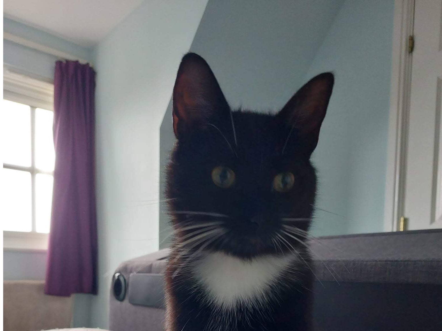 Charlie